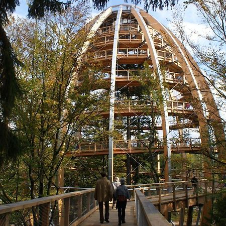 Haus Beate, Fewo Im Bienenparadies Kirchberg  Exterior foto