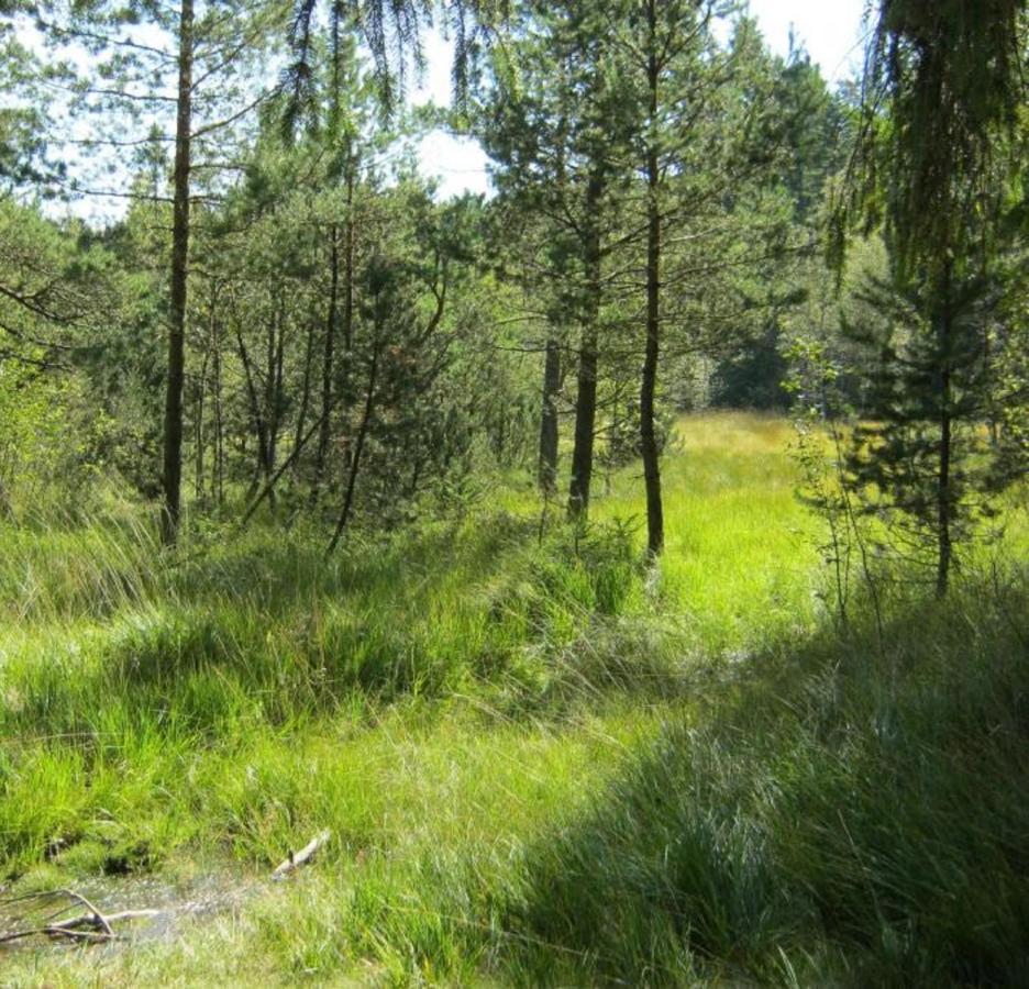 Haus Beate, Fewo Im Bienenparadies Kirchberg  Exterior foto